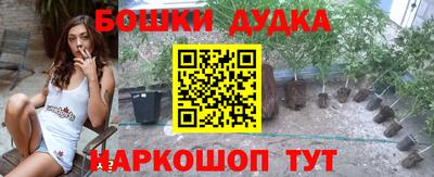 ешки Новодвинск