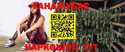 ешки Новодвинск