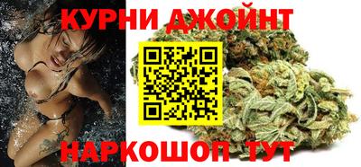 индика Новозыбков