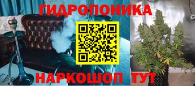 индика Новозыбков