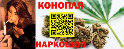 индика Новозыбков