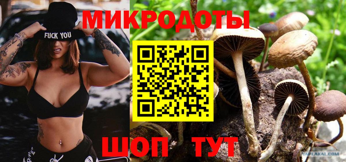 купить   Вход с VPN  Галлюциногенные грибы Magic Shrooms  Новороссийск  Псилоцибиновые грибы MAGIC MUSHROOMS 