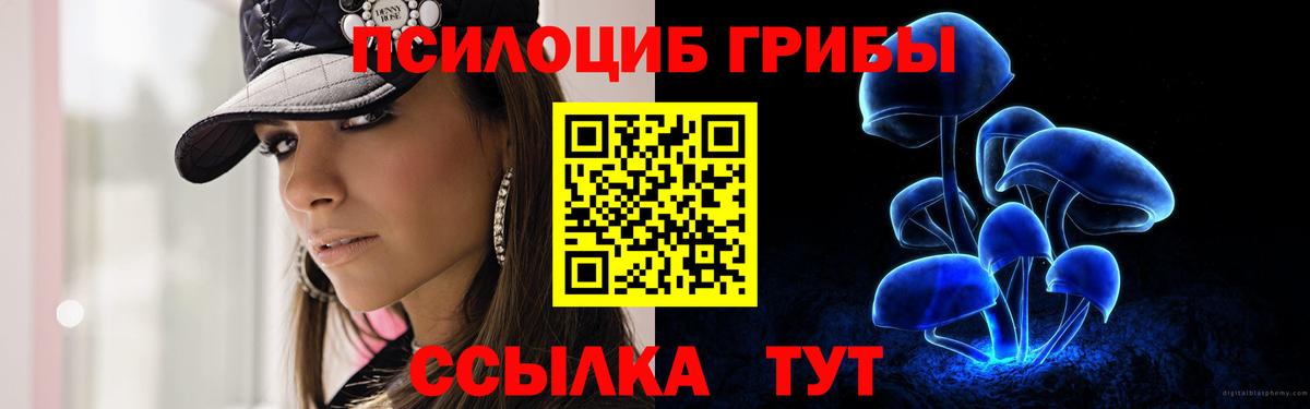 Галлюциногенные грибы мицелий Новороссийск